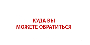 reab 2024 12 0136